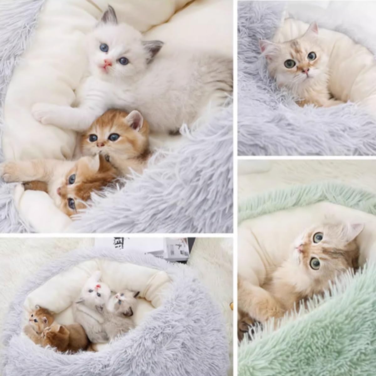 HEXEH Katzenhöhle Katzenbett Waschbare Halbgeschlossen Katzenzelt Katzenkorb Katzenhäuschen Betten Zum Schlafen Für Kleine Bis Mittlere Größe Katze (Color : B, Size : 60cm)