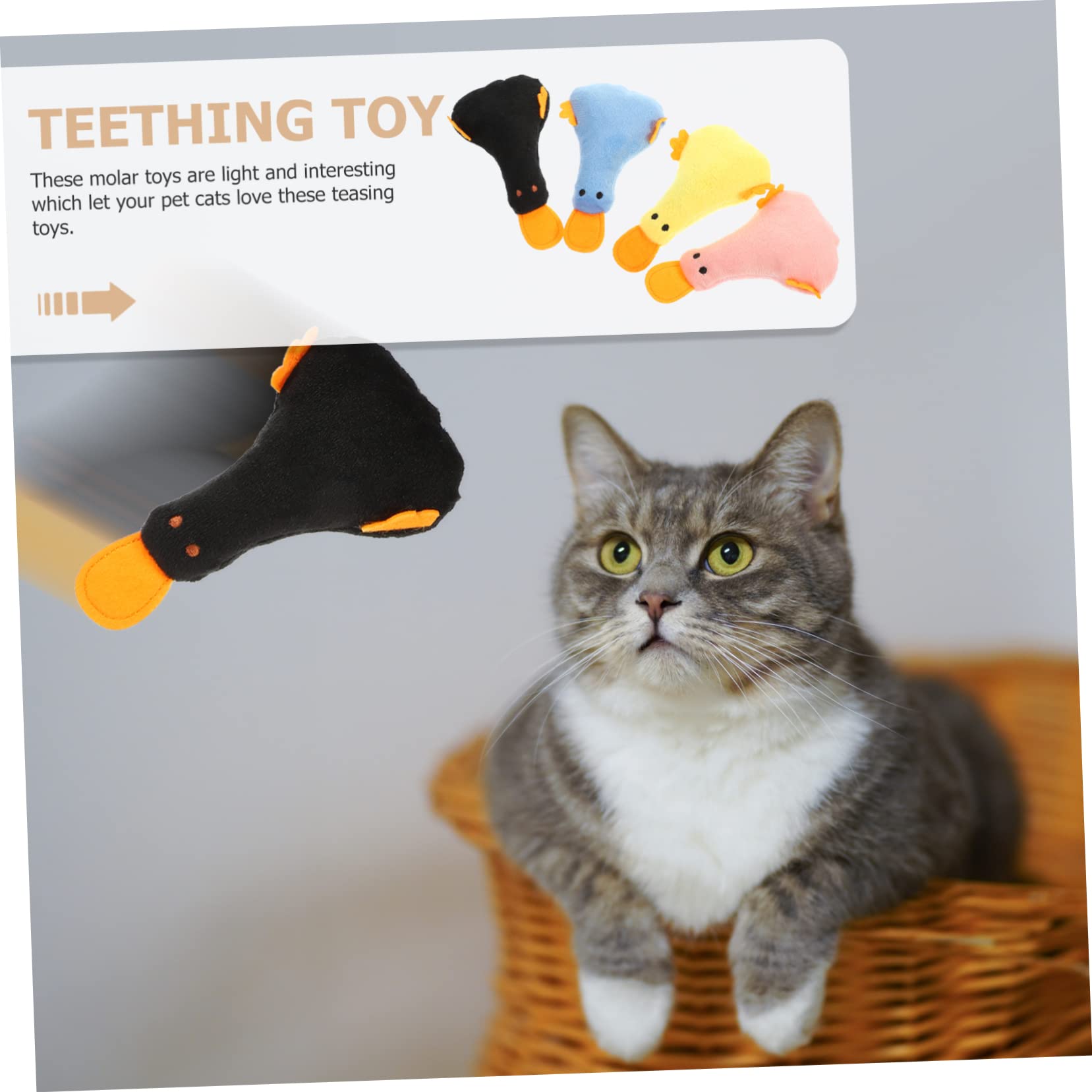 SUPVOX 20pièces Jouets Peluche pour Chats avec Cataire Jouets Amusants pour Intérieur Accessoires pour Animaux De Compagnie