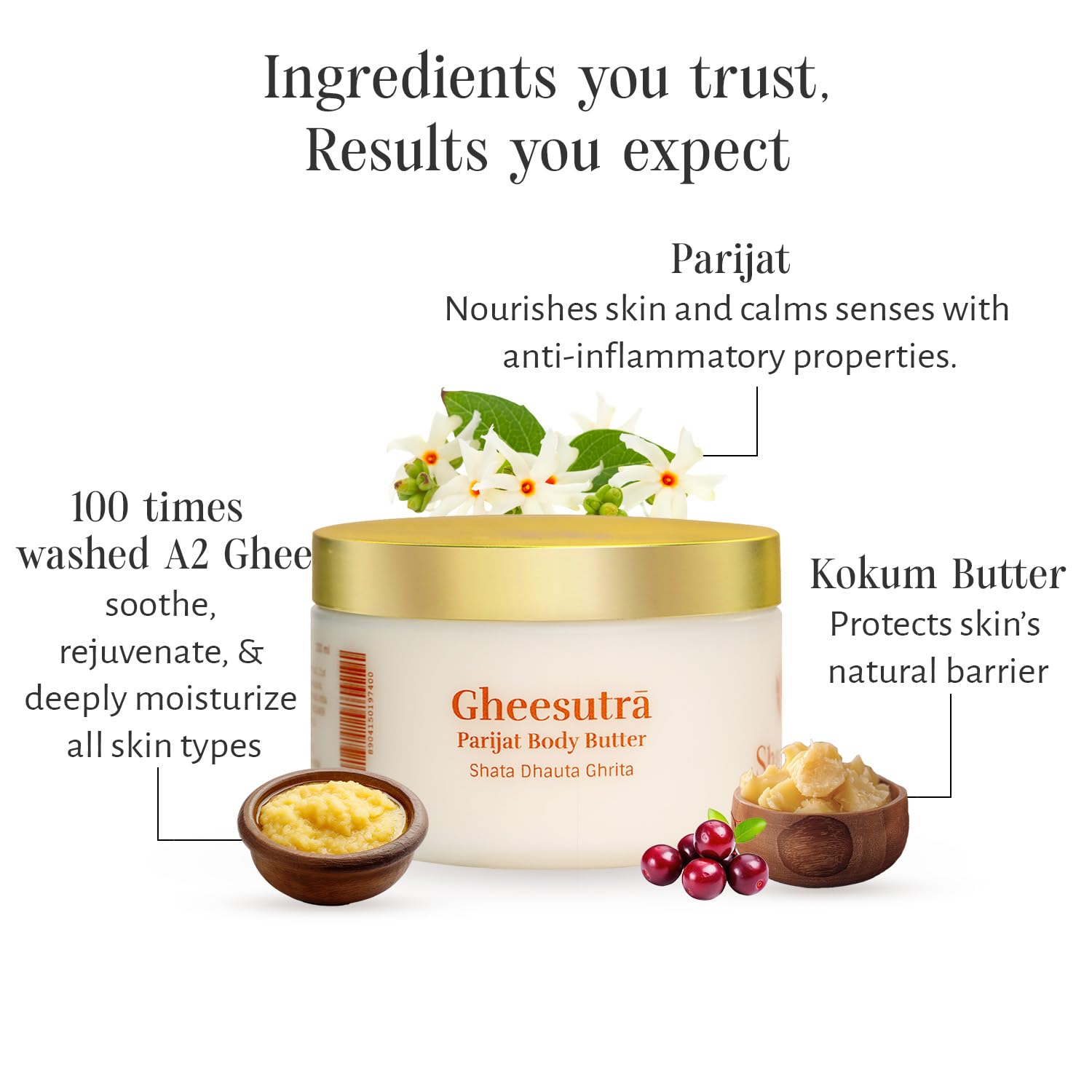 Shankara Gheesutrā Parijat Body Butter enriched with 100x Washed Ghee, Kokum Butter & Aloe Vera for Glowing & Soft Skin | Ayurvedic Formula Shata Dhata Ghrata for Dry, Sensitive Skin | Non-Greasy Long Lasting Moisturisation for Men & Women-200ml 2
