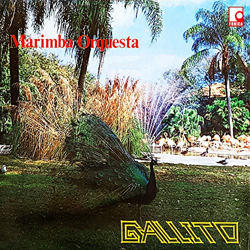 Marimba Orquesta Gallito Marimba Orquesta Gallito