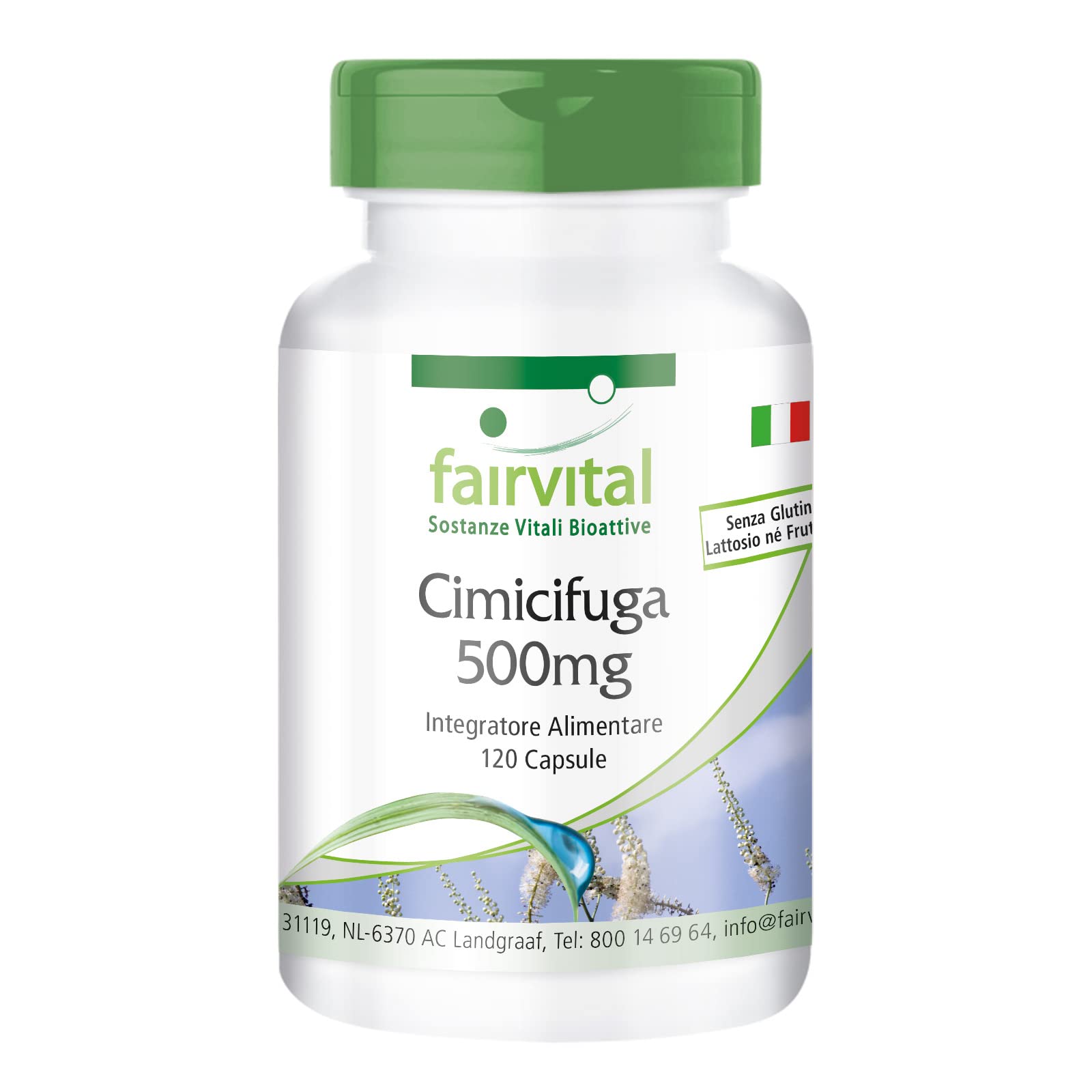 fairvital Capsule di cimicifuga 500mg, 120 capsule, 1000mg per dose giornaliera, Cimicifuga, qualità garantita e dosaggio elevato, 100% vegano, Prodotto in Germania