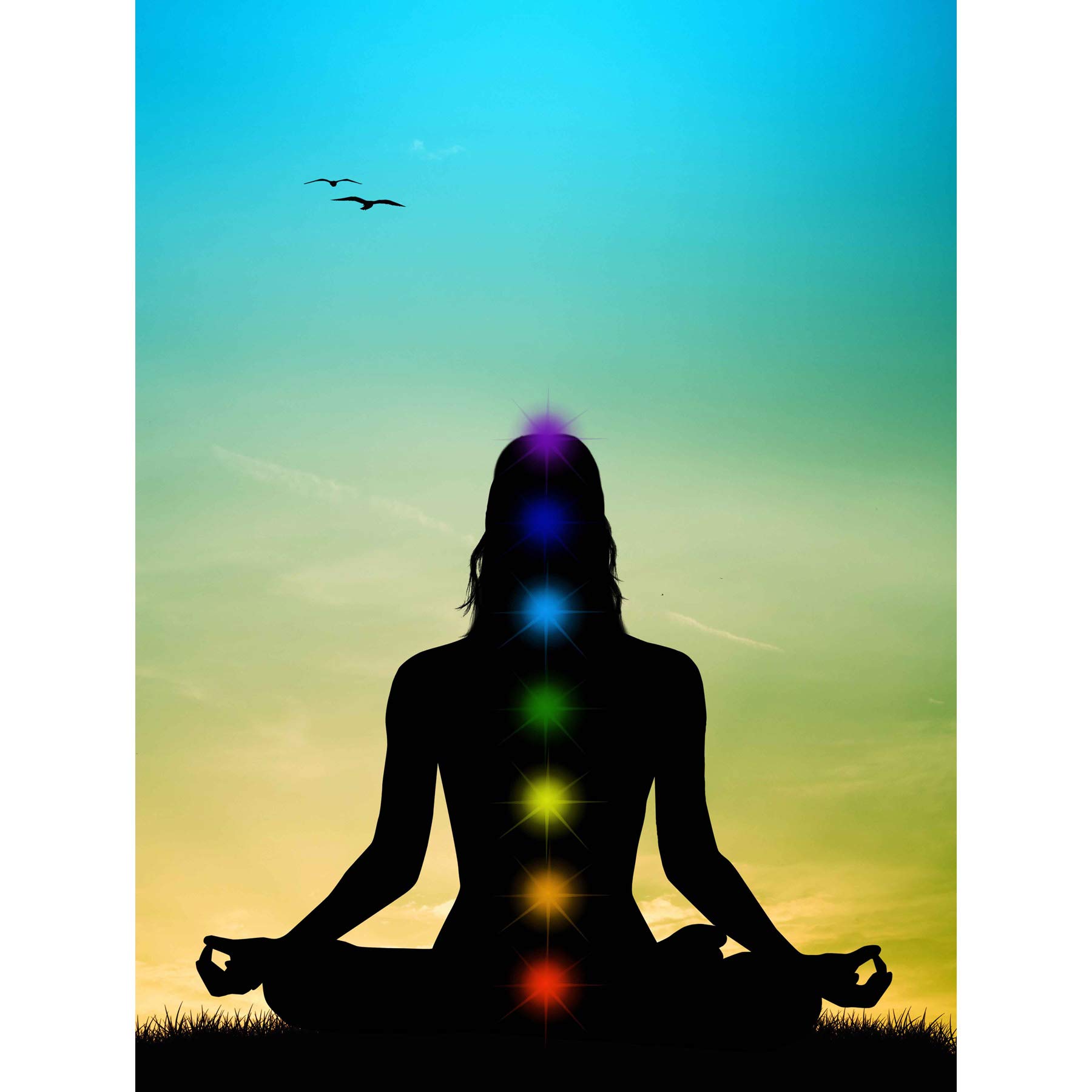 Bumblebeaver PAINTING ILLUSTRATION BUDDHIST LOTUS CHAKRAS MEDITATION ART PRINT POSTER MP5162B