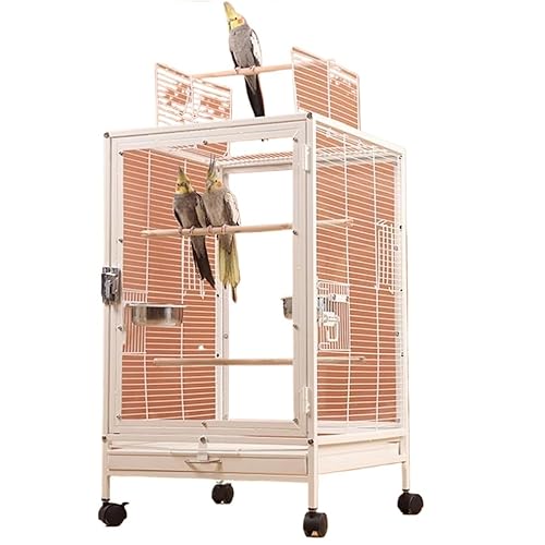  ^ AN o[hP[W CR IJCR  IE  hTGT |ȒP ~܂ؕt  P[W ybgMumuElf (ONAAN(ubN),A)