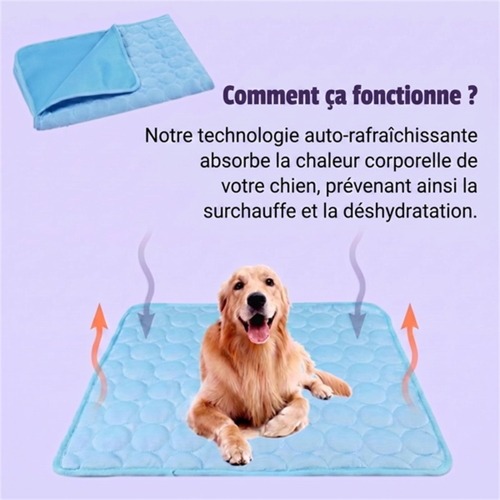 ChiKitur Tapis Refroidissant pour Chat Lavable et Respirant