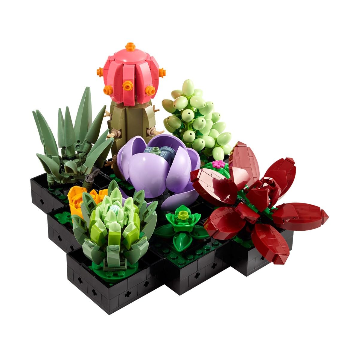 Botanicals Succulents 10309 Plant Decor Building Kit for Adults; Build a Succulents Display Piece for The Home or Office