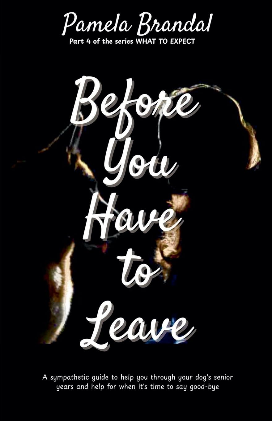 Before you Have to Leave: 4 (What to Expect)