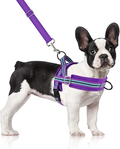 Miniatura 10 de SlowTon Juego de arnés y correa para perro pequeño sin tirones, arnés de chaleco suave ajustable para cuello y pecho, arnés ligero reflectante y