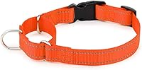 Vista 11 de Collar de martingala reflectante Plutus Pet con hebilla - Collar de entrenamiento duradero y ajustable para evitar tirones, collar de gargantilla