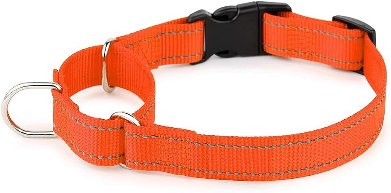 Coleira Martingale para Cães PLUTUS PET com Fivela de Engate Rápido e Costura Refletiva, Laranja, M