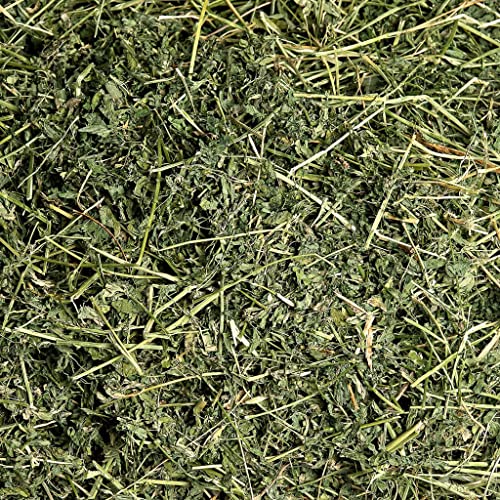 Small Pet Select Alfalfa Hay Pet Food For Young  Rabbits, Guinea Pigs , Chinchillas, Tortoises And Other Small Animals, Easy To Store Box, 10 Lb #TOP2