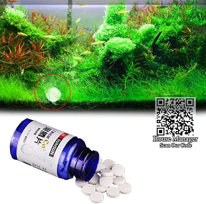 REACHYEA 60 Stück CO2Tabletten für Wasserunkraut, Wassergras