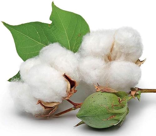 Miniatura 6 de Hisopos de algodón de 6 pulgadas de largo, 600 piezas para maquillaje, limpieza de armas o cuidado de mascotas