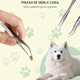 Ver la foto 4