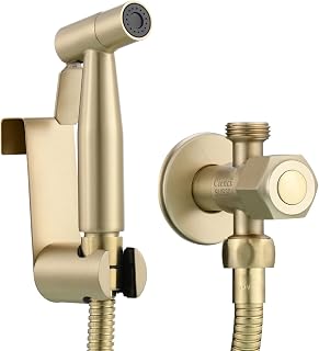 Tecmolog Grifo Pulverizador de Bidé de Agua Fría Kit Ducha Bidet Inodoro Acero Inox con Manguera y Soporte para Higienica, Oro Cepillado, WS024J2F3
