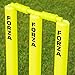 FORTRESS Garden Cricket Set - Available in 3 Sizes | Full Set or Half Set | Lightweight Cricket Equipment (Full Set | Junior (Size 5))