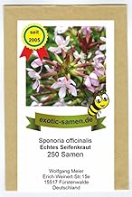 Saponaria officinalis - Seifenkraut - Bienenweide - Zier- u. Arzneipflanze - 250 Samen