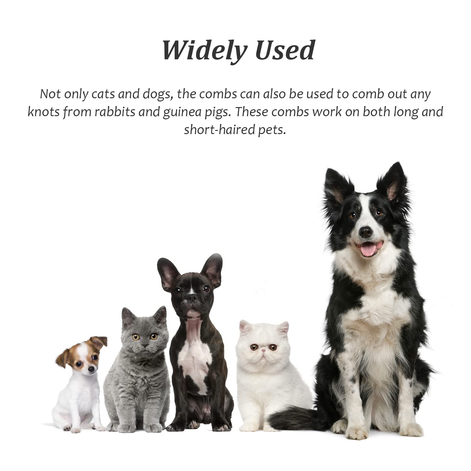 Peigne à Poux pour Chats et Chiens - Outil de Toilettage Anti Puces pour Nettoyer Tangles et Saleté - Bleu