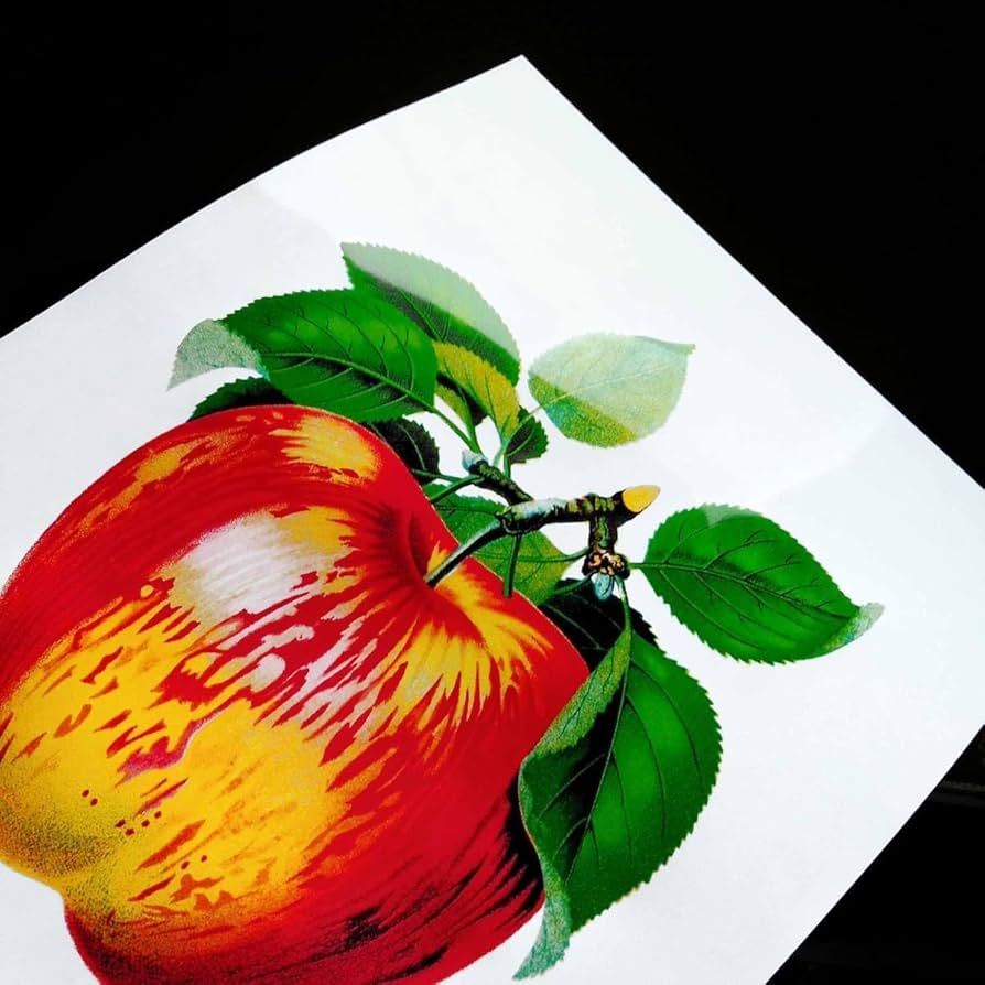 Amazon.co.jp: りんご ウルフリバーアップル イラスト アート 沢 Amazon.co.jp: りんご ウルフリバーアップル イラスト アート 沢