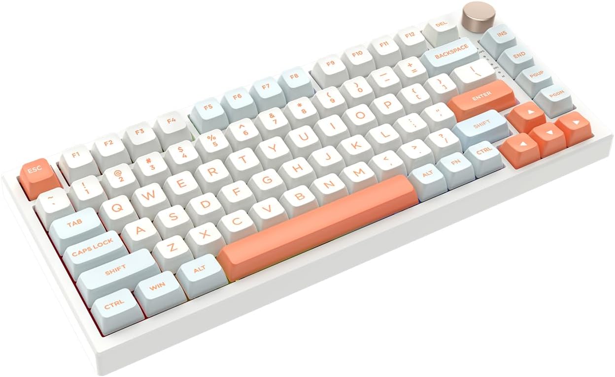 VGN N75 Gaming Keyboard angled view