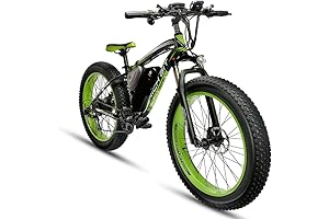 Ride Rich: Experience High Terrain Electric Conquest Aboard Rich Bit's Superior E-bike