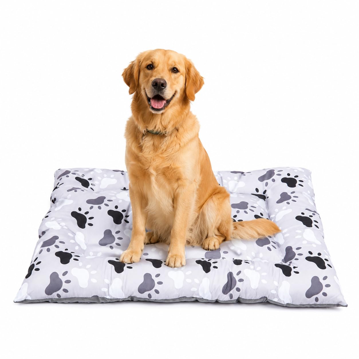 Eden & Willow Flat Dog Bed Mat, Cosy Bedding for Cats, Puppies & Pets, Lightweight & Breathable Outdoor Garden Car Dog Bed Mattress, Portable & Durable Summer Pad Cushion Mat, Pet Essentials