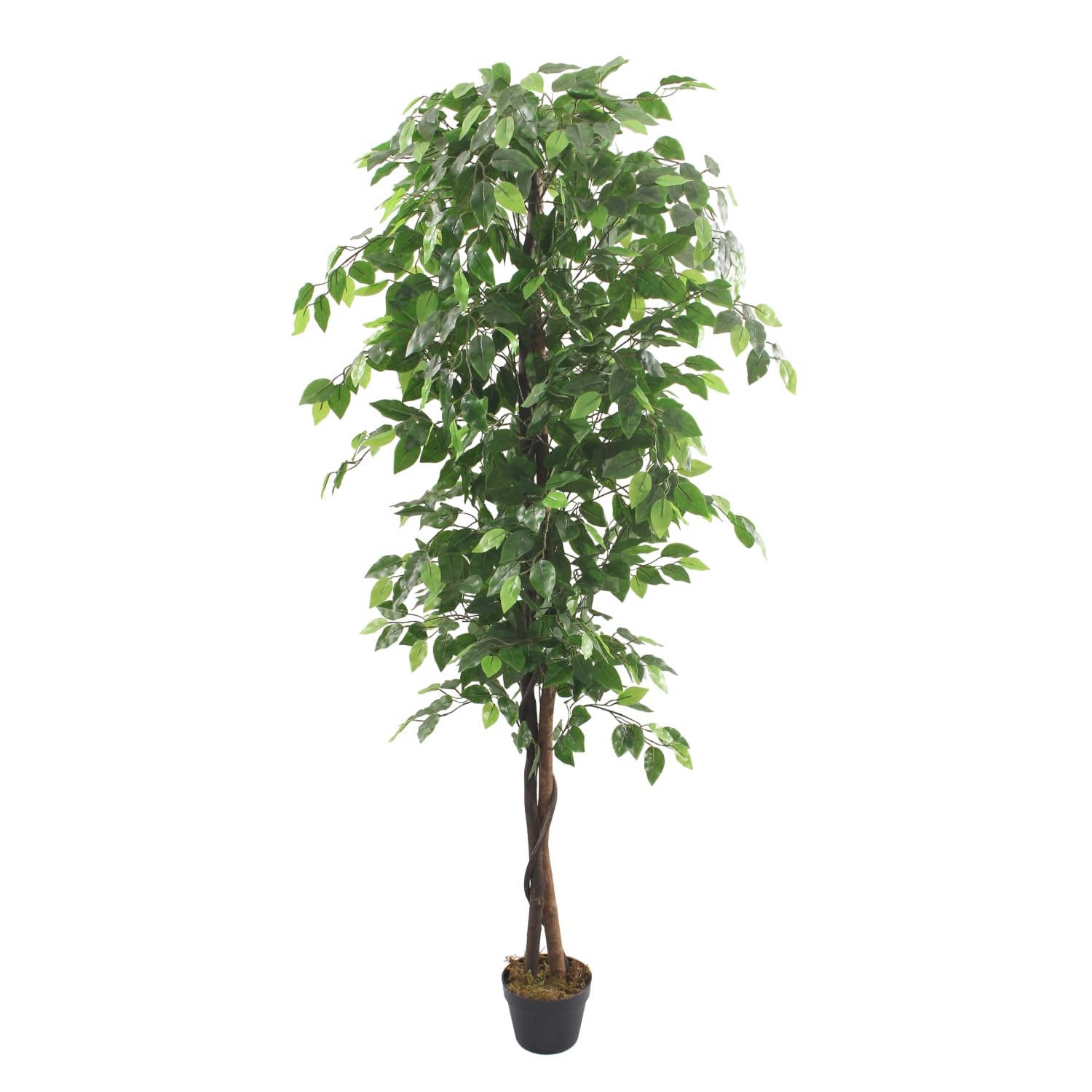 Bonerva | Ficus Nature 180 cm Altura | Planta Artificial con Tronco Natural | Ideal para Decorar Interiores: hogares, Negocios y hoteles