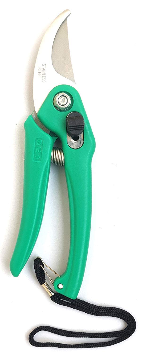 Shoppingdoor Gardening Scissor Pruning Shear, Flower Cutter, Leaf Cutter, Fruit Cutter for Potted Plants Bypass Secateurs Trimmer Carbon Steel Blade (Green) (B07X59XLRN) Amazon Price History, Amazon Price Tracker