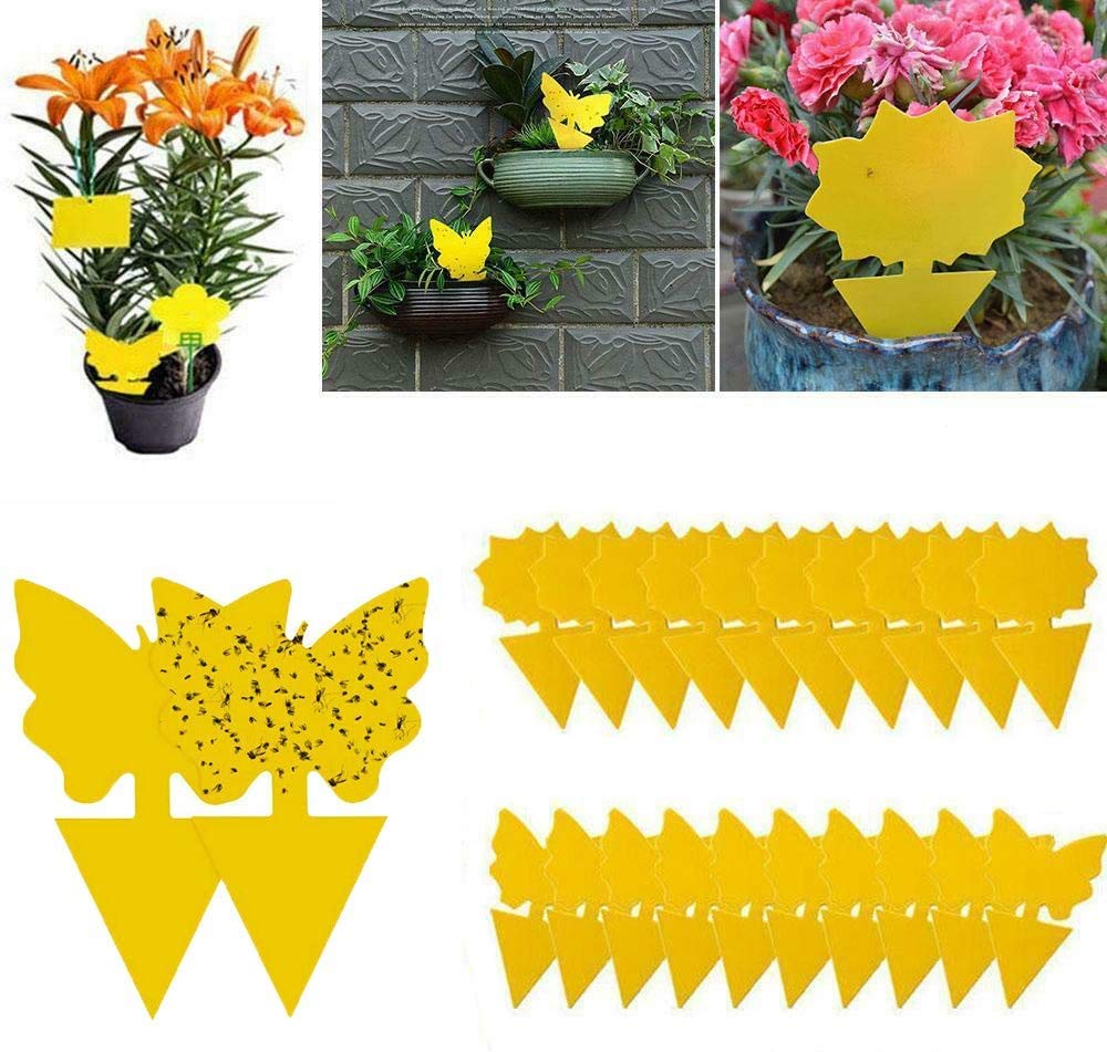 NCTheresa Flying Insect Sticky Traps (30 Pieces, Yellow)