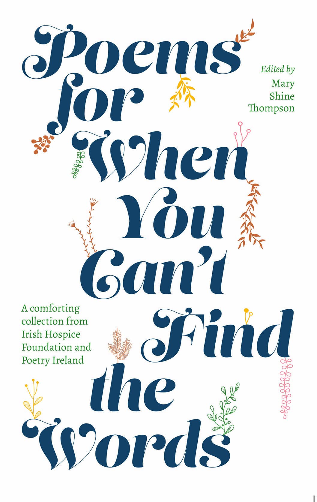 Poems for When You Cant Find the Words HARDBACK 9780717193738