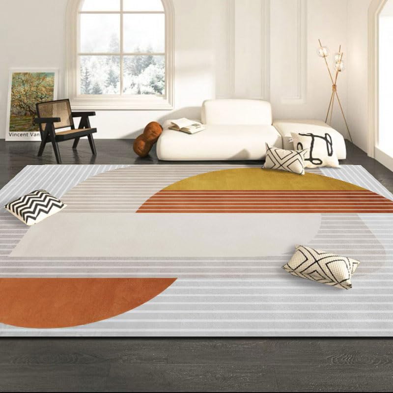 Tapis de salon 160x280 antidérapant et entièrement lavable en machine