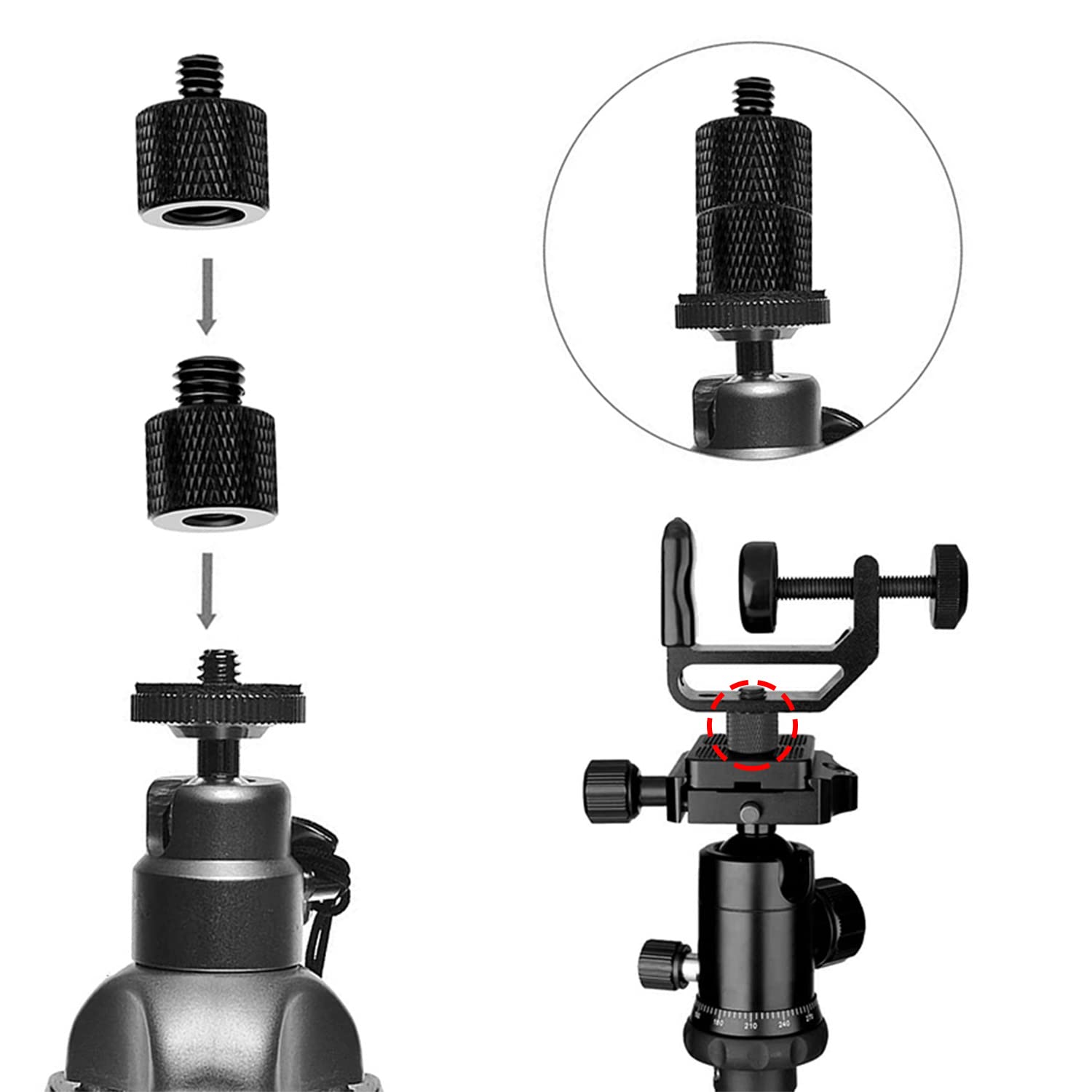 Adattatore Filettato per Treppiede, 3/8" a 1/4" e 1/4" su 3/8", 4 Pezzi
