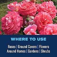 Vista 5 de BioAdvanced Asesino de insectos de rosas y flores, listo para usar, 24 onzas