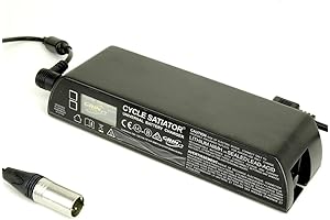 Cycle Satiator: The Ultimate E-Bike Battery Charger