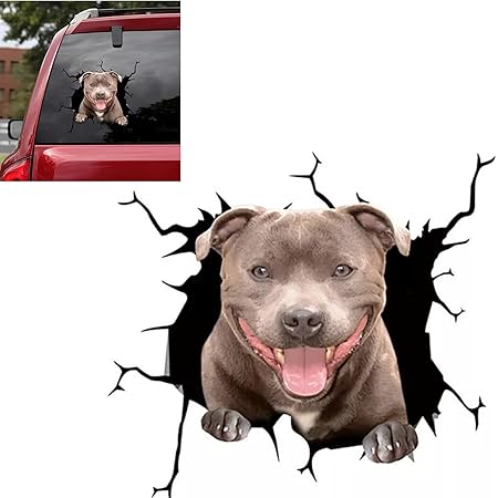 Amazon Co Jp Coolthick カーステッカー 車 トラック ステッカー 犬 おもしろ 面白い 動物 ペット 4 ペット用品