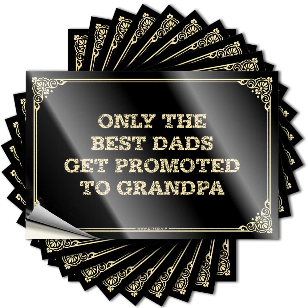 Only The Best Dads Get Promoted to Grandpa Decal Indie Decor | Winter Hat Removable Decal Pack(8X12CM)