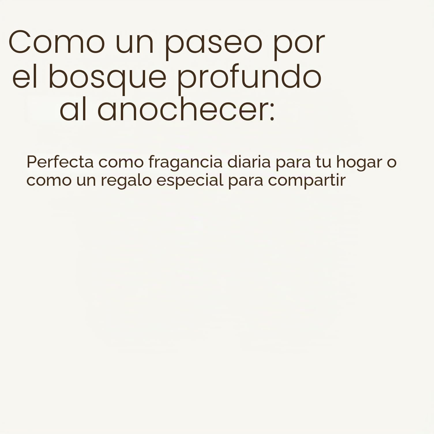 Bath and Body Works - Vela de 3 mechas de madera de teca de caoba de alta intensidad, 411 g