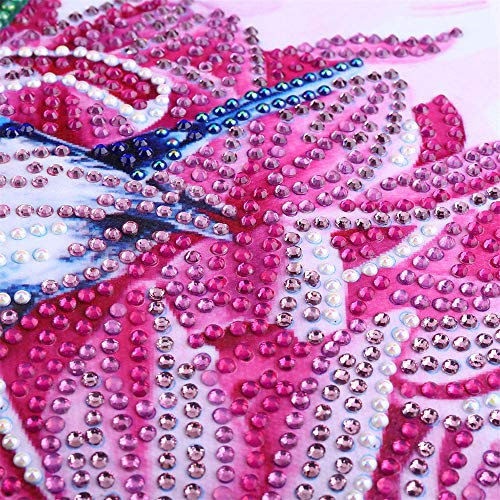 Leeofty DIY 5D Pintura Diamante Kits DIY Broca Pintura Diamante Needlework Pintura De Cristal Strass