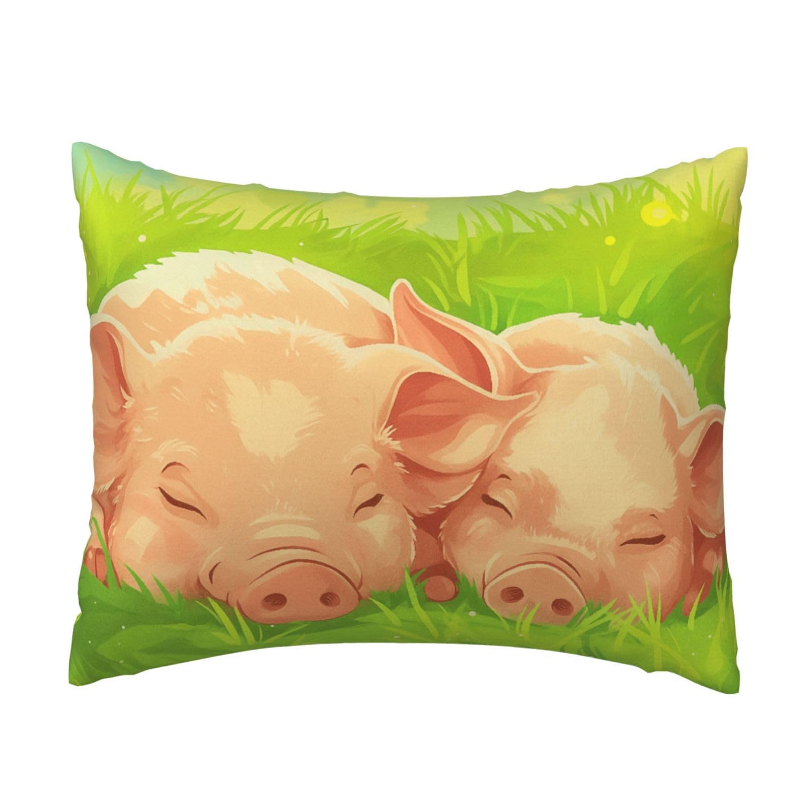 Sunny Meadow Pig Nap Pillowcase Soft Plush with Zipper Decorative Pillowcovers 16x20 in