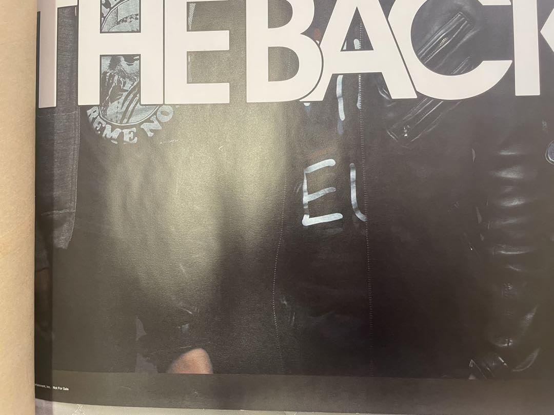 【自立型額縁】THE BACK HORN バックホーン　ポスター風　額装　バンド Amazon.co.jp: the back horn バックホーン ポスター : おもちゃ