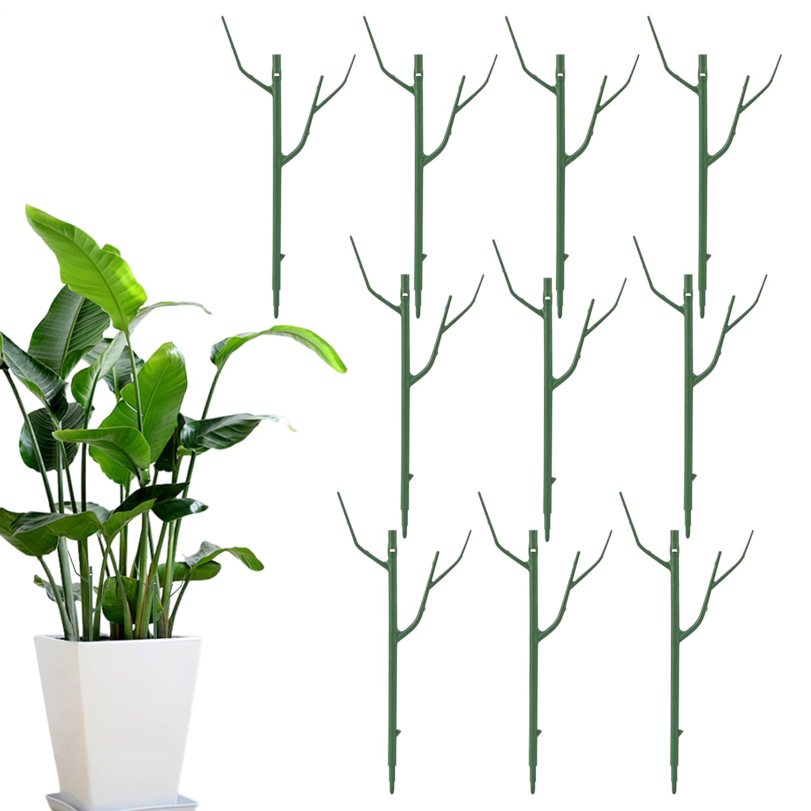 Support pour plantes grimpantes et piquets amovibles pour légumes de jardin