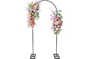 Queension 6 Feet Oval Metal Arch Backdrop Stand for Weddings, Birthdays, and Baby Showers