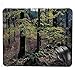 Produktbild Quality Selection Comfortable Mouse Pad,Natural Scenery Trees Autumn Season in Woods Wilderness Rural Growth Eco Photo Mouse Pad