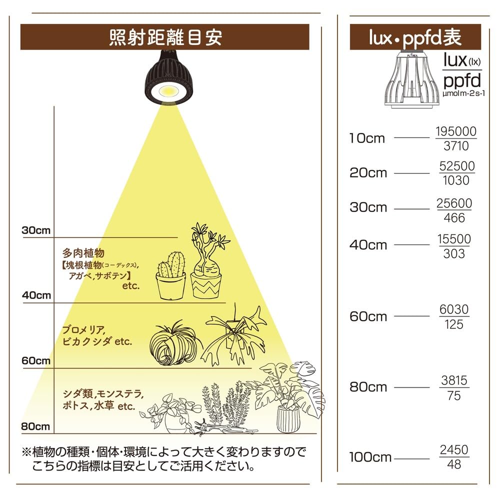 Amazon.co.jp: Ever Sun 365（エバーサン サンロクゴ―） ミニ ホワイト