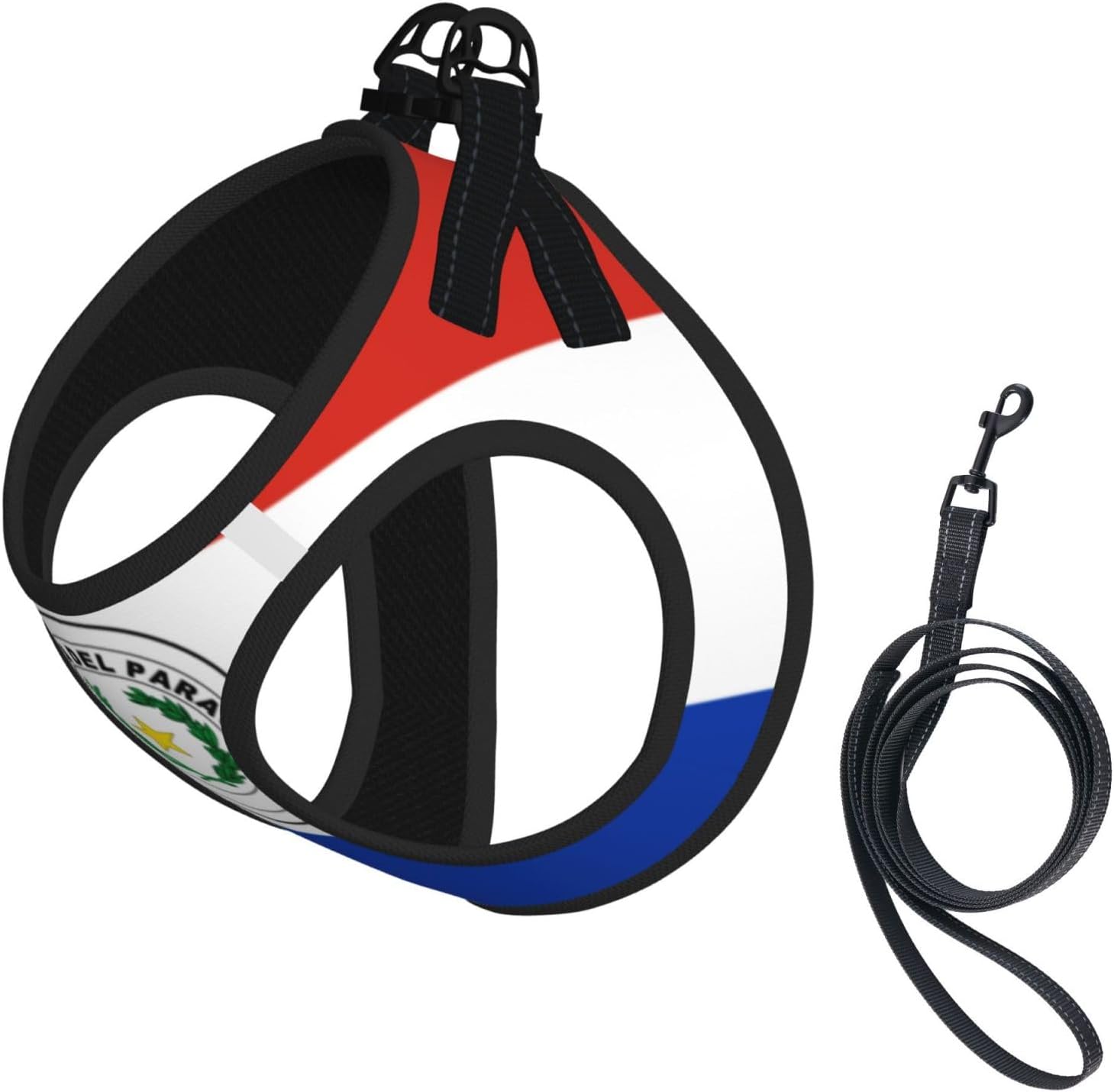 Flag of Paraguay Pet Vest Small Size Dog Harness and Leash Set, Reflective & Breathable for Puppy Training with Accessories Large