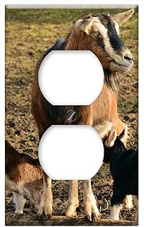 Switch Plate Outlet Cover - Goats Kid Young Goats Domestic Goat Lambs 1