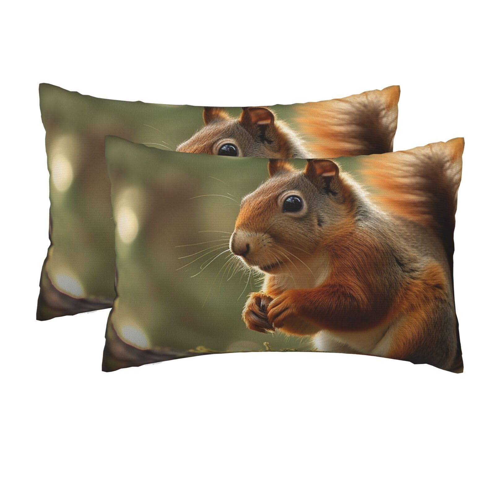 2 Pack Queen Pillow Cases with Hidden Zipper, Soft Breathable Pillow Covers for Hair and Skin, Wildlife Forest Squirrel Pillowcases 20"x30" Bed Pillow Protectors Cover for Sleeping Gifts