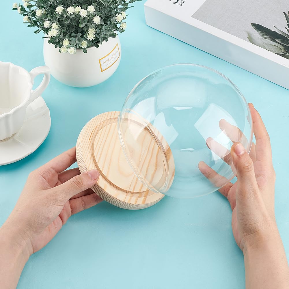 Display A Cupola In Vetro Con Base Legno - Globo Trasparente Per Decorazioni E Collezioni - Foto 6