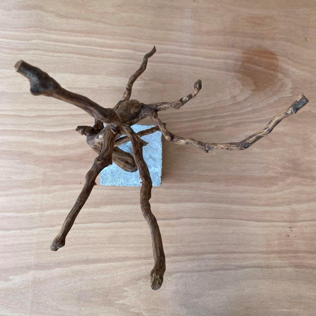 【コンクリート盆栽 流木オブジェ】 アート アクセサリー インテリア 爬虫類 コンクリート盆栽 流木オブジェ】ディスプレイ アート インテリア 鍵