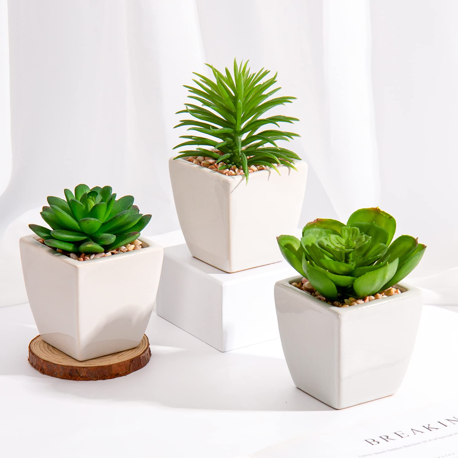 Amazon.com: Briful 3PCS Fake Succulents for Farmhouse Tiered Tray Decor  Smaller Artificial Potted Plants Faux Plants Indoor Bookshelf Decor House  Plants Tabletop Decor in White Ceramic Pot : Home & Kitchen