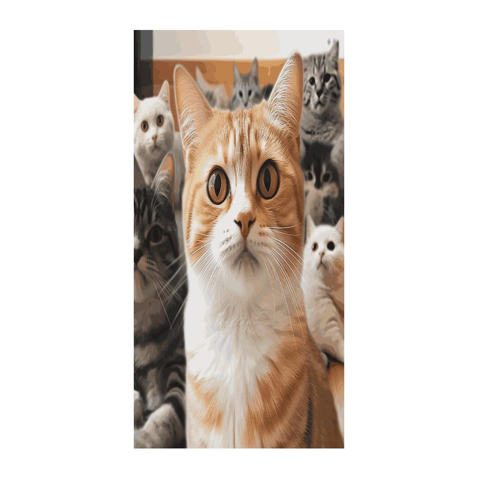 Fekiloot Style Funny Pet Cat Door Curtain Room Divider Curtains